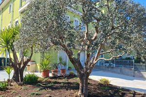 Appartamento con giardino