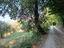 Immagine 6