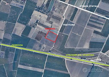 Terreno quasi un ettaro Zona Giardino/Trinitapoli