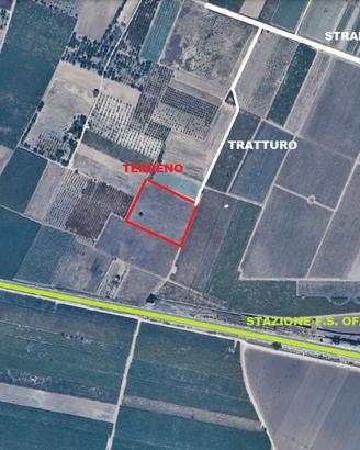 Terreno quasi un ettaro Zona Giardino/Trinitapoli