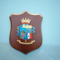 crest 20° Battaglione Fanteria Monte san Michele