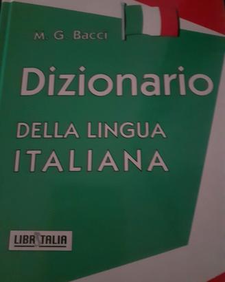 piccolo dizionario della lingua italiana 