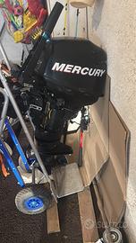 Motore 8 cv 4 tempi