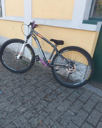 Rockrider st 120 (modificata)
