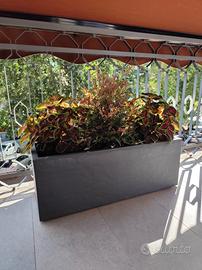  Fioriera  80 cm