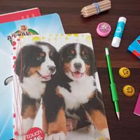 Set cancelleria Nuovo