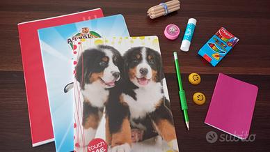 Set cancelleria Nuovo