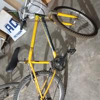 bicicletta lazzaretti