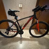 Mountainbike Rollmar 29