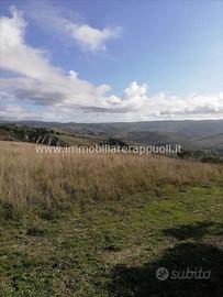 AG39 - San Casciano Dei Bagni azienda agri