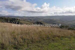 AG39 - San Casciano Dei Bagni azienda agri