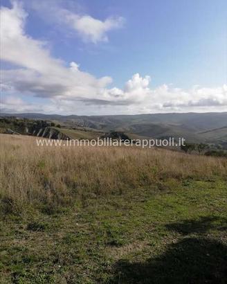 AG39 - San Casciano Dei Bagni azienda agri