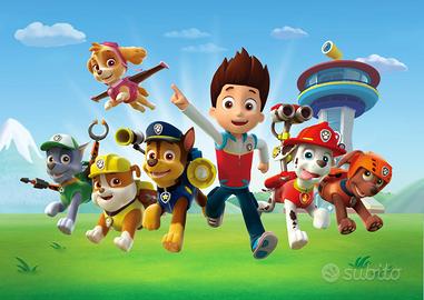 PAW PATROL COLLEZIONE