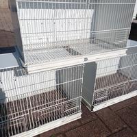 gabbie terenziani  senza carrello 