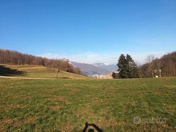 Rustico e Terreni