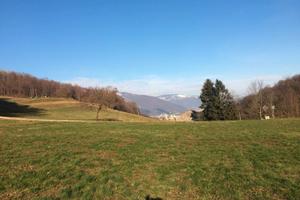 Rustico e Terreni