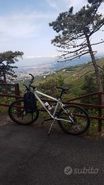 Bicicletta MTB