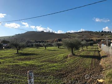 Terreno