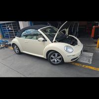 New beetle