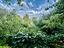 Immagine 29