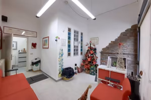 Immobile di 75 m² con 3 locali a Pisa