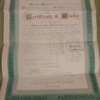 certificato di studio 1948