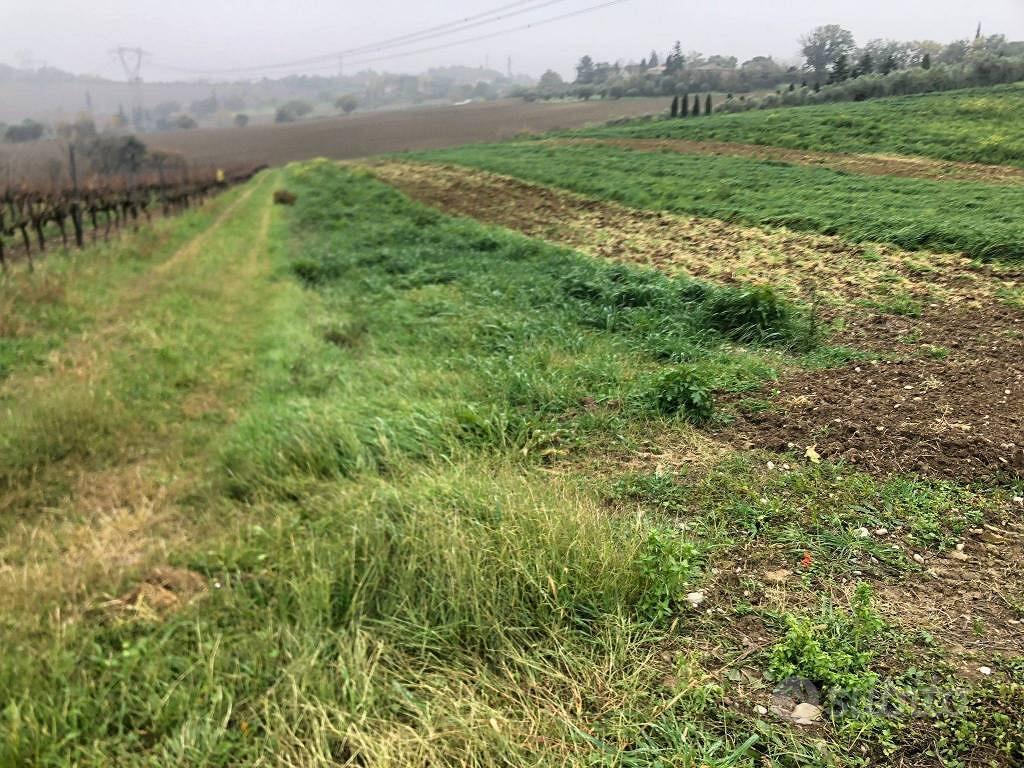 Terreno di 44000 m² a Rimini - Vista 2