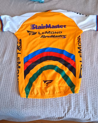 bicicletta spinning  stair master Lemond + maglidi