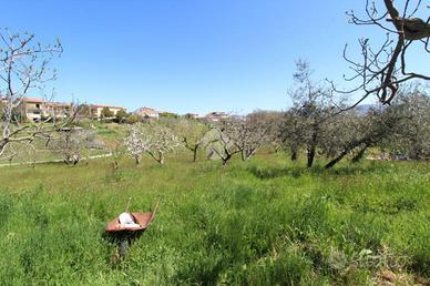 TER. RESIDENZIALE A POGGIO NATIVO