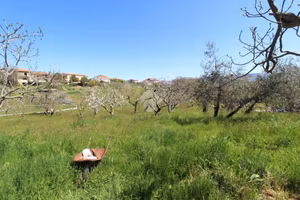 TER. RESIDENZIALE A POGGIO NATIVO