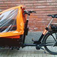 Cargo Bike Elettrica Bertus (SUV a due ruote!)