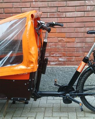 Cargo Bike Elettrica Bertus (SUV a due ruote!)