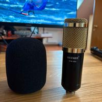 Neewer NW‑800 + Asta + Filtro Antivento