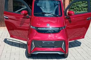 auto elettrica