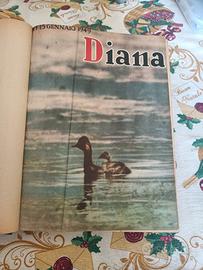 Riviste DIANA - annata completa 1949