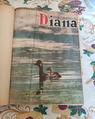 Riviste DIANA - annata completa 1949