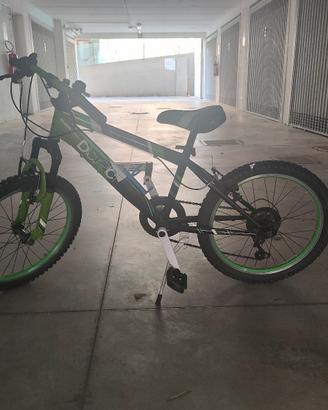 bicicletta