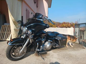 harley davidson electra glide standard