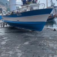 Barca con licenza 4Gt