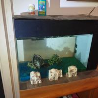 Acquario completo 54L