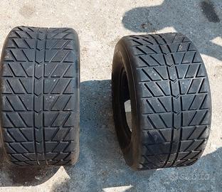 pneumatici per quad. 255/60-10-55 N