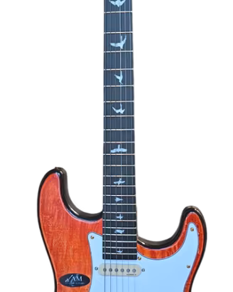 chitarra elettrica di liuteria stile Strato PRS