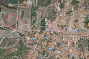 Terreno Agricolo Zeddiani [Cod. rif 3385817VCG]