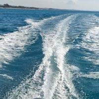 A.F.F.A.R.E. Barca Ranieri Azzura