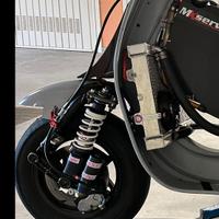 Ammortizzatore Polini Rs 24/10