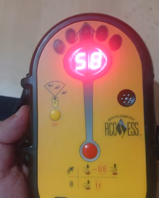  dispositivo  BCA Tracker DTS x valanga,escur