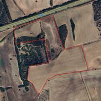 Azienda agricola 7 ettari con rudere 60 mq