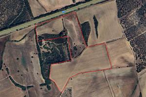 Azienda agricola 7 ettari con rudere 60 mq