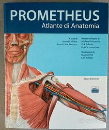 Prometheus, atlante di anatomia umana
