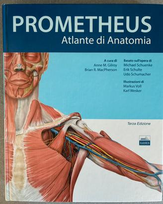 Prometheus, atlante di anatomia umana